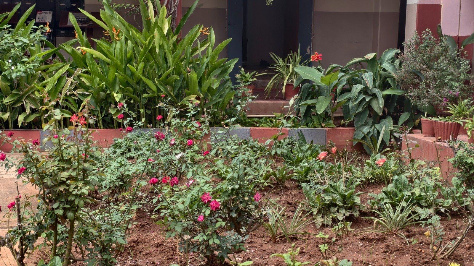 Green campus garden